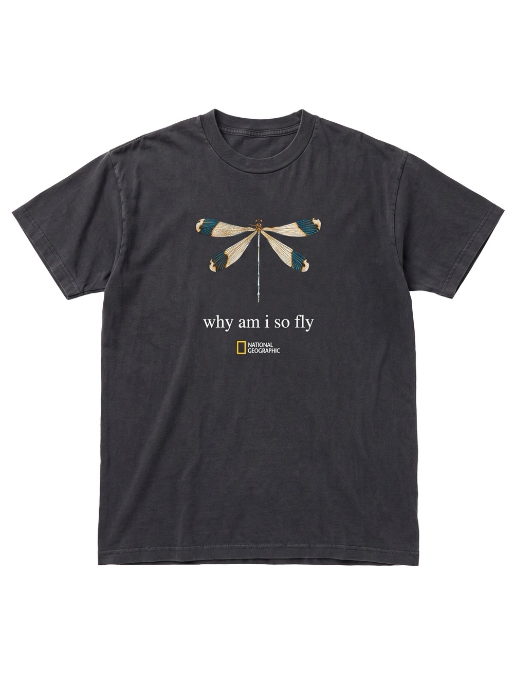 National Geographic Dragonfly Why Am I So Fly Black Graphic T-Shirt